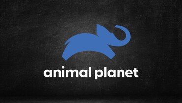 Animal Planet ao Vivo